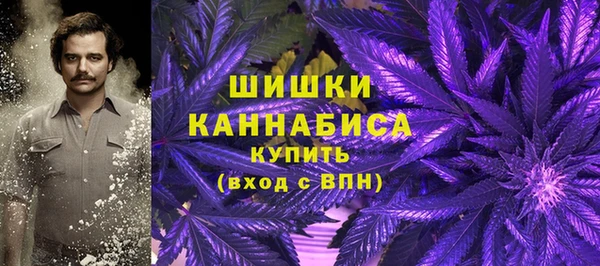 спайс Алзамай